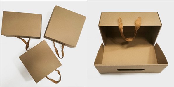 portable shoe boxes